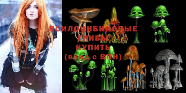 круглые Алексеевка