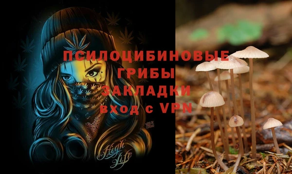 герыч Алексин