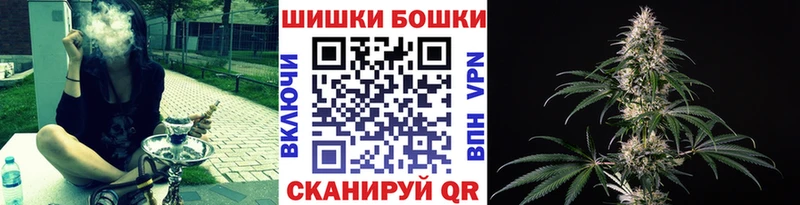 купить наркотик  Йошкар-Ола  Бошки Шишки Amnesia 