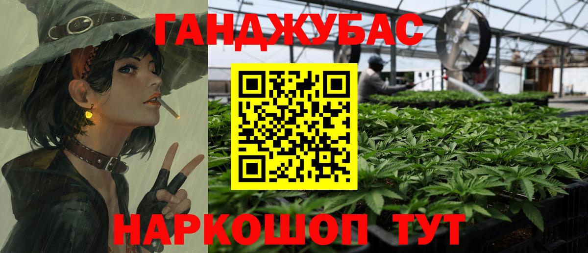 Йошкар-Ола  Шишки марихуана сатива  Вход с VPN  Канабис Amnesia  Каннабис план  Конопля AK-47 